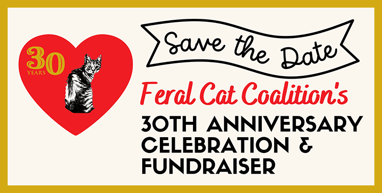 30th Anniversary Celebration and Fundraiser for Feral Cat Coalition